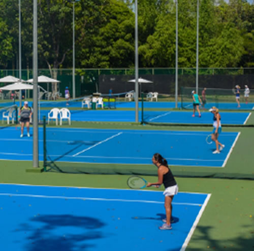 Onderzoek rit Slang tanglin | SITA Tennis Academy